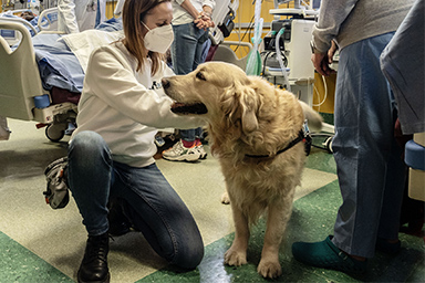 Ospedale di Rivoli, due cani da Pet therapy per la prima volta in Rianimazione