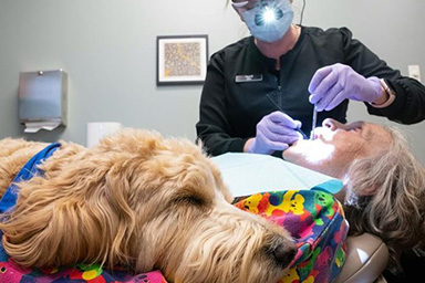 Meno paura del dentista con un cane accanto: Ollie, assistente speciale