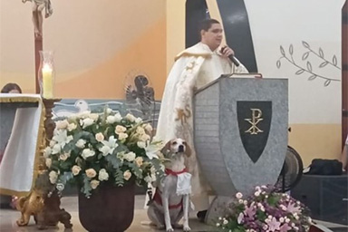 Johnny, il cane chierichetto in una parrocchia brasiliana