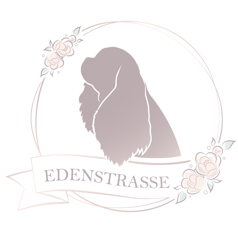 EDENSTRASSE