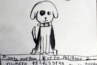 Cane scappa di casa: con un disegno bimba aiuta la nonna a ritrovare Pirata