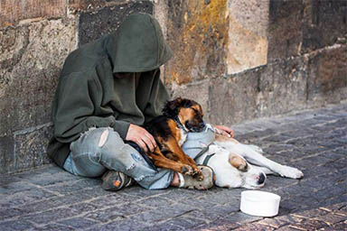 “È una famiglia multispecie”: in Brasile cane viene riconsegnato a un senzatetto