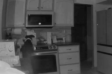 Cane gioca con i fornelli e provoca un incendio in casa: il video