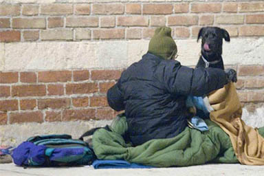 cane con senzatetto