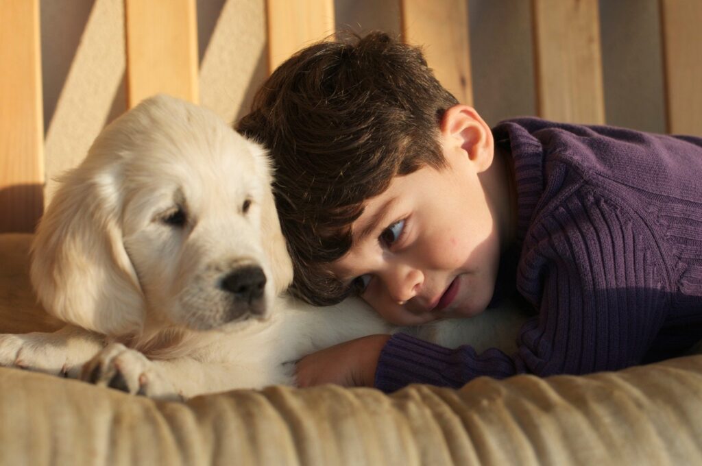 CUCCIOLI GOLDEN RETRIEVER