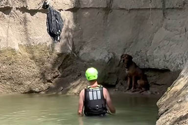 Trovano cane spaventato in ruscello: dei golfisti lasciano tutto e lo salvano