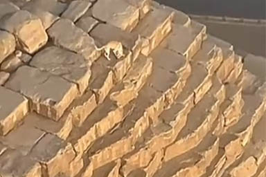 Il video diventato virale: un cane in cima alla Piramide di Giza