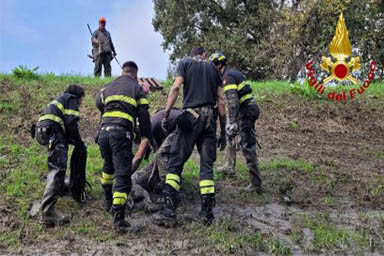 Cane rimane intrappolato nel fango, i Vigili del fuoco lo salvano