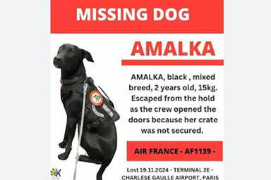 Amalka