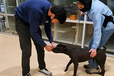 Cane smarrito da 4 mesi viene ritrovato immerso nella neve da uno sciatore