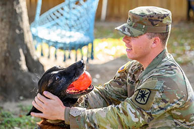 Storie che commuovono: dopo tre anni sergente riabbraccia cane incontrato in Iraq