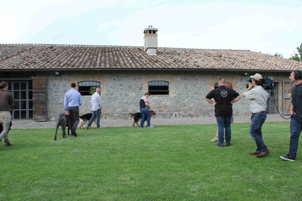 Dog City Scuola Addestramento Cani di Lorenzo Gnerucci Roma