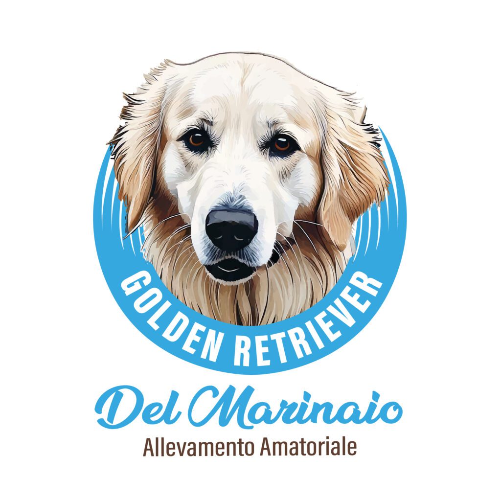 CUCCIOLI DI GOLDEN RETRIEVER  CON PEDIGREE