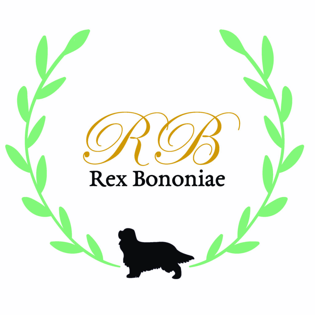 REX BONONIAE