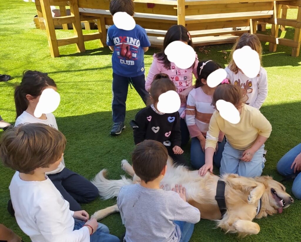 Cuccioli golden retriever