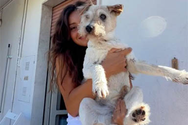 Monty, con i suoi 22 anni è il cane più longevo dei social