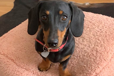 Si perde in un'isola selvaggia e dopo 16 mesi è ancora viva: la storia di Valerie