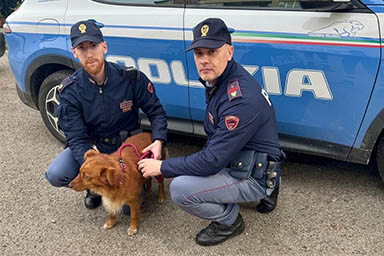 Cane si smarrisce in una galleria trafficata, due agenti lo salvano