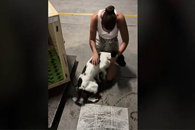 La storia di Deji, che dopo un viaggio di quasi 14 mila km ha ritrovato la sua famiglia