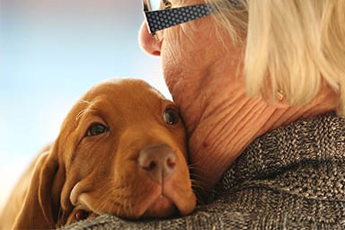In Toscana via libera ai cani nelle Rsa e nelle strutture sanitarie