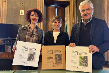 L'idea di un bistrot italiano: sui cartoni della pizza i cani da adottare