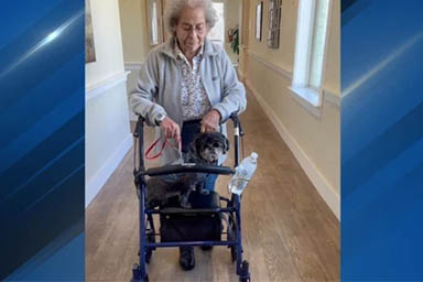 Salvato dalla strada, cane viene adottato da 75 anziani di una casa di riposo