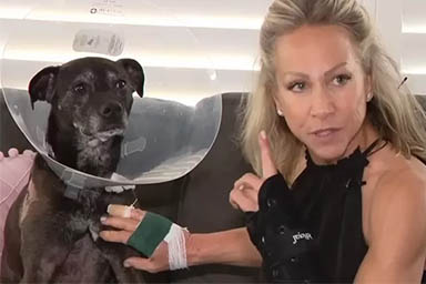 Affronta un alligatore per salvare il suo cane: il gesto eroico di Kim