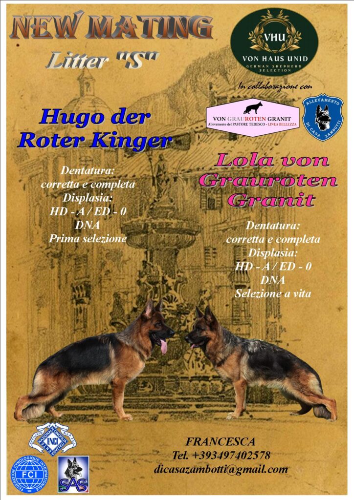 VENDO CUCCIOLI DI PASTORE TEDESCO