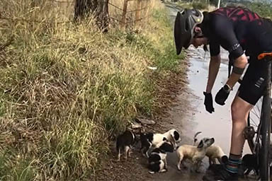 Sorpresa nel fango: due cicliste passeggiano tra le montagne e ritornano con sei cuccioli
