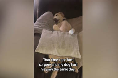 Dopo un'operazione al piede è costretta a letto, anche il suo cane si fa male a una zampa