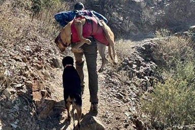Spike e Snickers: dispersi per 4 giorni nel deserto, vengono ritrovati insieme
