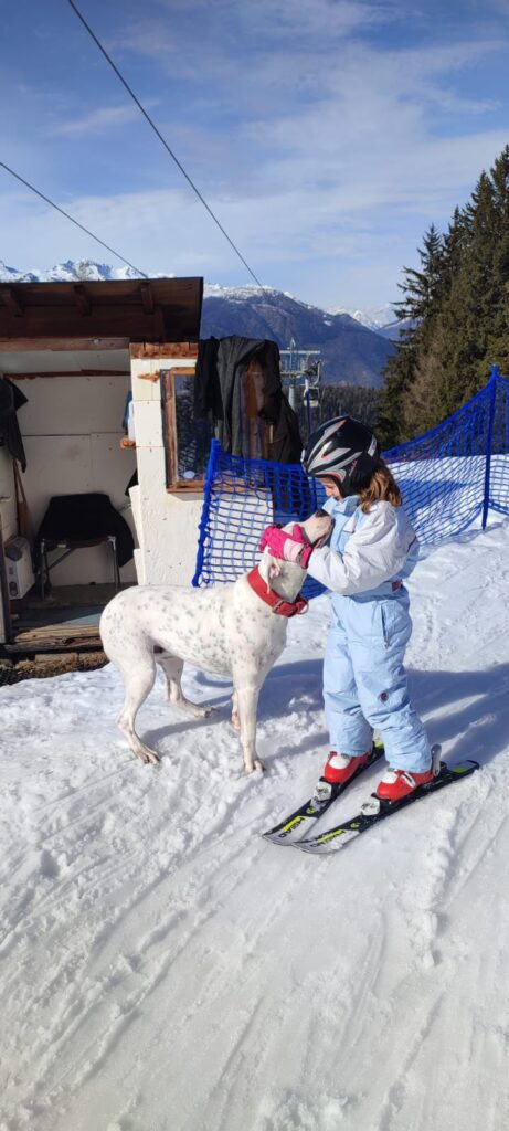 Cuccioli Dogo Argentino - Linea da Lavoro Originale
