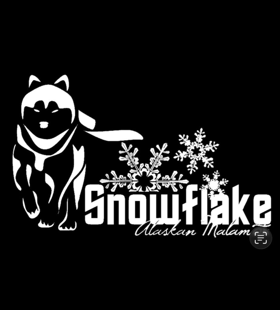 Cuccioli Alaskan Malamute – Prenotazioni aperte per la Cucciolata di Giugno!