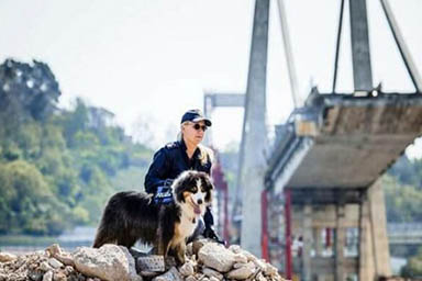 Morto Night Spirit, il cane-eroe del Ponte Morandi