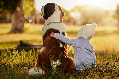 Minore rischio di eczema nei bambini predisposti se vivono con un cane