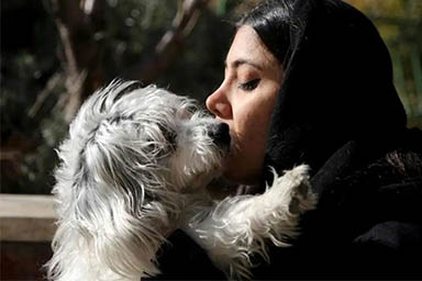 In Iran vietato portare i cani a passeggio