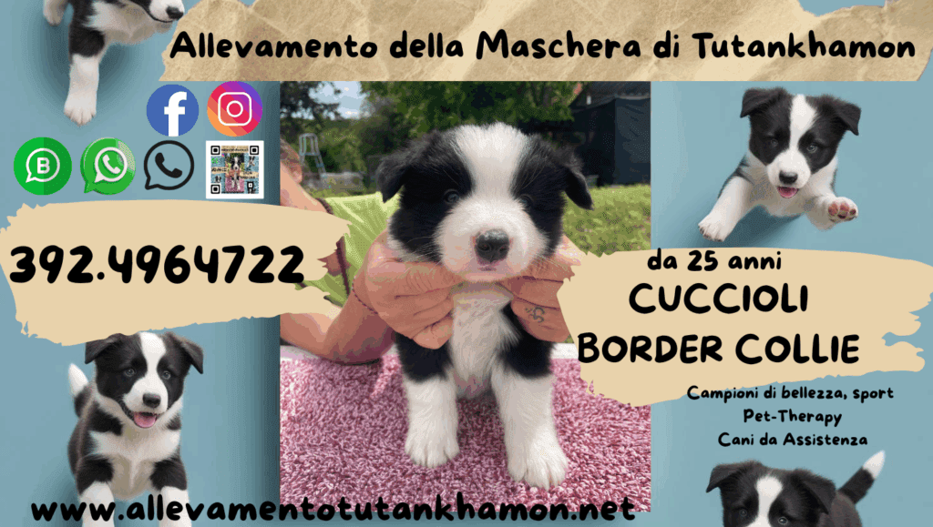 MASCHERA TUTANKHAMON e Camugliano