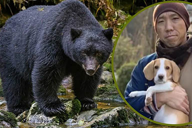 Abbandonato perché rumoroso, il cane Chico salva da un orso il monaco che l'ha adottato