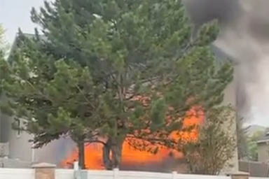 Cane intrappolato in casa avvolta dalle fiamme: uomo salva la vita per salvarlo