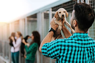 A Vittoria sconto di 100 euro sulla Tari per chi adotta un cane