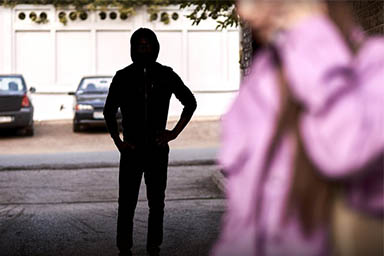 Asia, cane eroe: salva la proprietaria da uno stalker e viene avvelenata