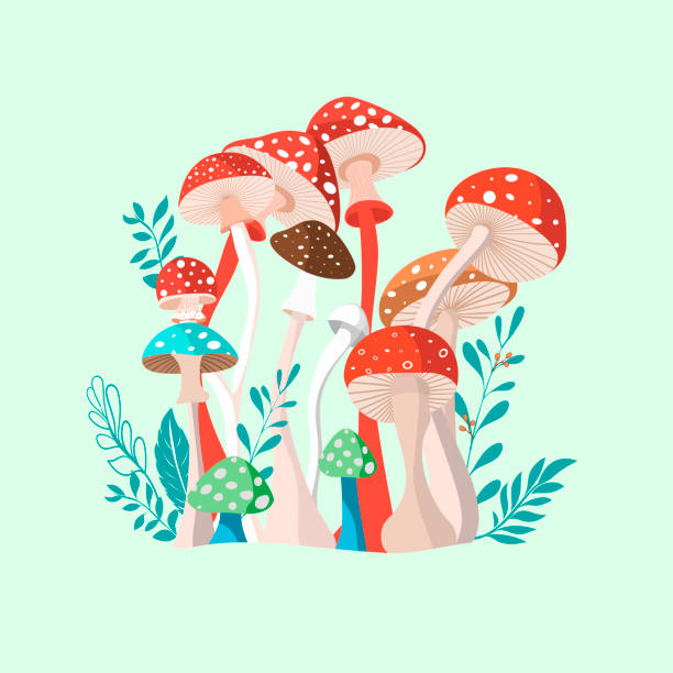 Digitization for embroidery