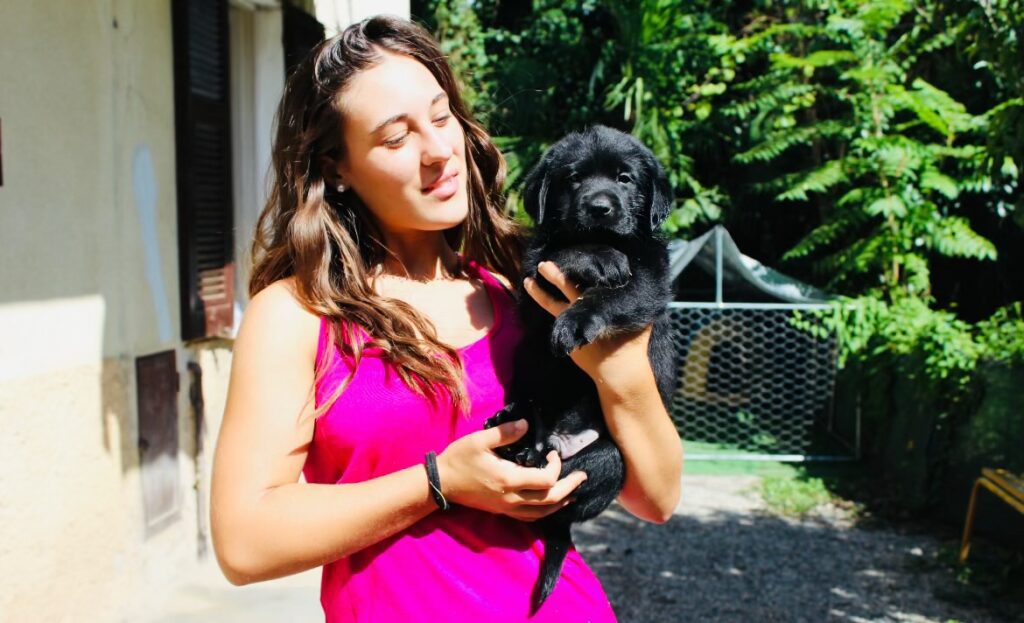 CUCCIOLI LABRADOR RETRIEVER CON PEDIGREE