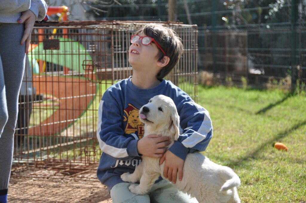 Cuccioli Golden Retriever Palermo Sicilia