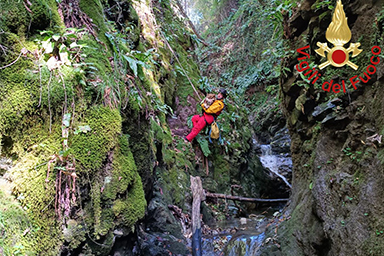 Abbaiava disperato: cane caduto in una forra viene salvato dai Vigili del fuoco
