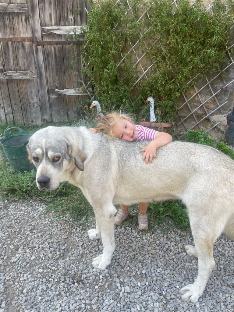 PASTORE ASIA CENTRALE