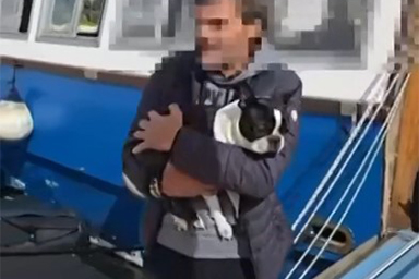 Cade improvvisamente in mare: cane salvato dal personale di navigazione