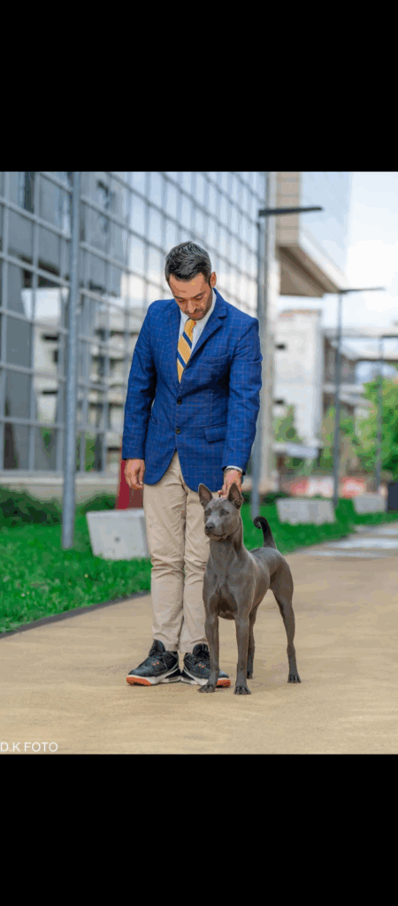 Cuccioli Thai Ridgeback Blue