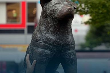 Hachiko