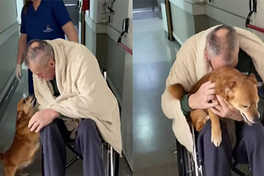 Di nuovo insieme dopo 82 giorni di ospedale: l'incontro commovente tra Miguel e il cane Simón